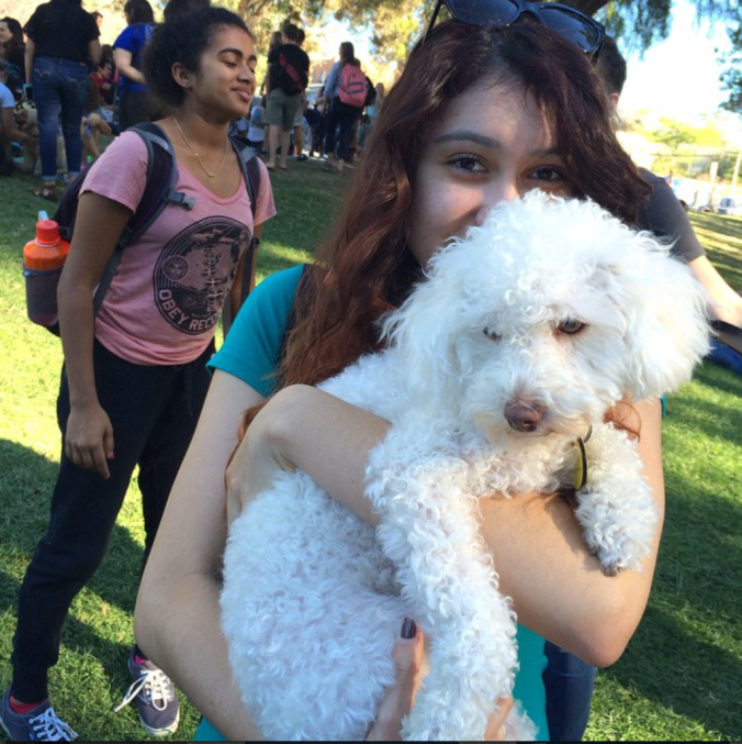 Clarissa Rivas embraces a new furry friend at last quarter's stress dogs event. 